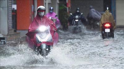 Tập trung ứng phó bão số 1 và mưa lũ