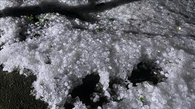 Chủ động ứng phó với dông, lốc, sét, mưa đá trong thời kỳ chuyển mùa