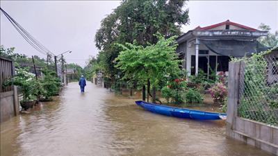 Chủ động ứng phó với áp thấp nhiệt đới gần bờ và mưa lớn
