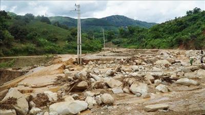 Triển khai các giải pháp ứng phó với mưa lũ, sạt lở đất