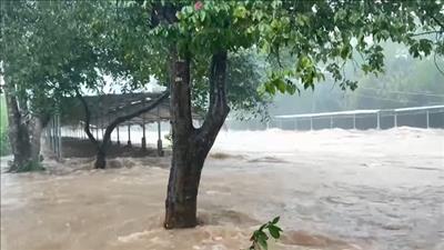 Các tỉnh, thành phố miền Trung cần chủ động ứng phó với mưa lũ, sạt lở đất