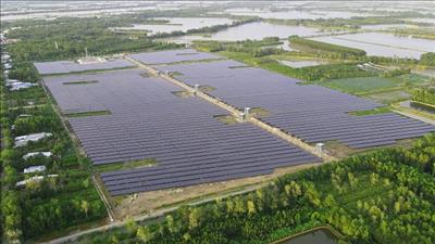Phát triển năng lượng tái tạo theo lộ trình, phù hợp với nền kinh tế