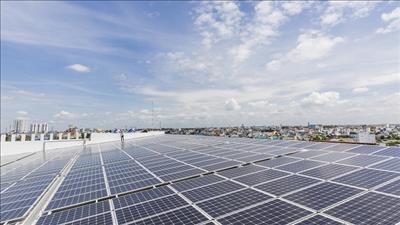 Tích cực, chủ động triển khai thực hiện các cam kết tại Hội nghị COP26