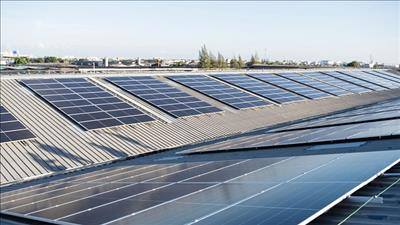 Phát triển năng lượng tái tạo góp phần đẩy nhanh quá trình khử carbon ở Việt Nam