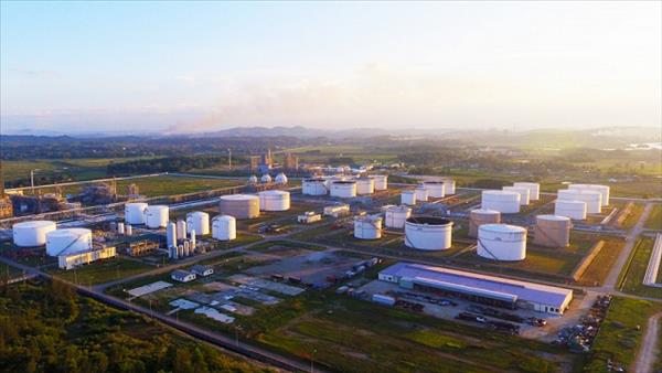 Cần đáp ứng đủ xăng dầu cho sản xuất, kinh doanh và tiêu dùng