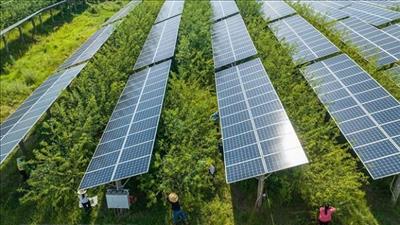 Khảo sát: Gần 70% người dân thế giới ủng hộ năng lượng mặt trời