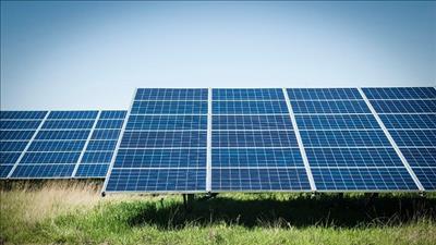 Kết nối doanh nghiệp Việt Nam và Canada hợp tác phát triển năng lượng sạch