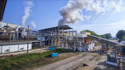 Tăng cường sự tham gia của năng lượng sinh học trong cân bằng lưới điện