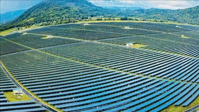 IEEFA: NLTT giữ vai trò quan trọng trong nền kinh tế sản xuất của Việt Nam