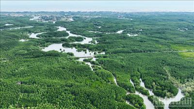 Hướng tới mục tiêu Net Zero: Cơ hội song hành cùng thách thức