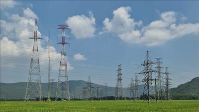 Yêu cầu hoàn thành bàn giao mặt bằng dự án đường dây 500kV đấu nối NMNĐ Nghi Sơn 2