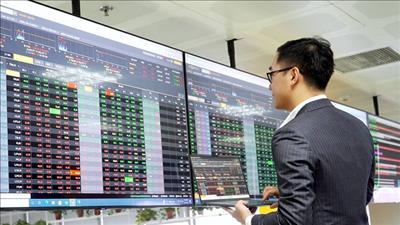 Danh mục cổ phiếu cần quan tâm ngày 3/11