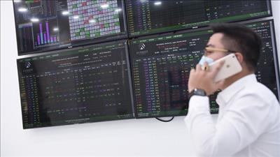 Danh mục cổ phiếu cần quan tâm ngày 11/11