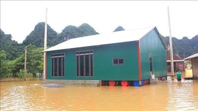 9 tỉnh, thành khẩn trương nghiên cứu mẫu nhà chống lũ