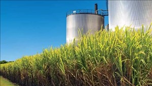 Gia Lai chấp thuận chủ trương đầu tư dự án Nhà máy Ethanol An Khê