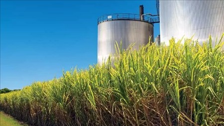 Gia Lai chấp thuận chủ trương đầu tư dự án Nhà máy Ethanol An Khê