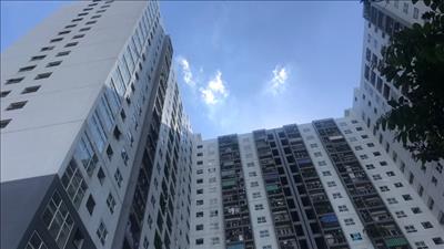 Quy định về xây dựng, quản lý hệ thống thông tin, cơ sở dữ liệu về nhà ở và thị trường bất động sản