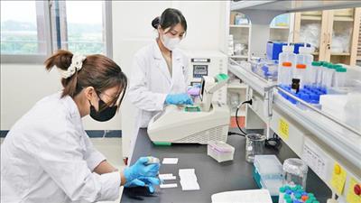 Hà Nội triển khai các chính sách thu hút và trọng dụng nhân tài