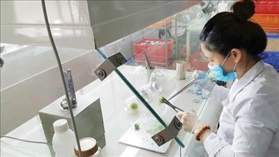 Tiếp tục thực hiện đồng bộ các giải pháp tăng năng suất lao động