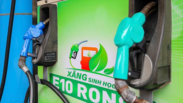 Sớm triển khai lộ trình sản xuất và sử dụng nhiên liệu sinh học