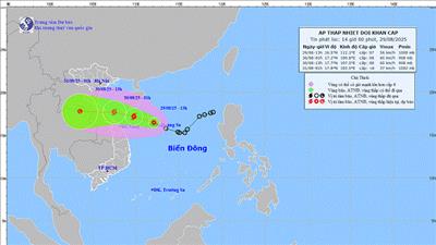 Bộ Nông nghiệp và Môi trường chỉ đạo ứng phó với áp thấp nhiệt đới mạnh lên thành bão