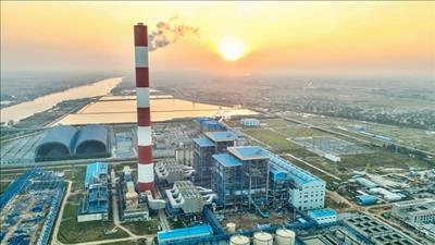 Chuẩn bị công tác cung cấp than cho sản xuất điện năm 2025
