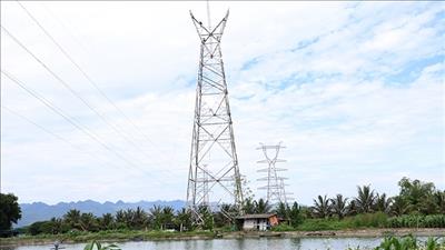 Đảm bảo tiến độ thi công đoạn tuyến đi chung 6 mạch của dự án đường dây 500/220kV Nho Quan – Phủ Lý – Thường Tín
