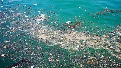 Tăng cường năng lực quản lý rác thải nhựa đại dương, thúc đẩy kinh tế biển bền vững