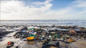Kiểm soát ô nhiễm nhựa gắn với bảo tồn đa dạng sinh học
