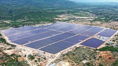 Tỉnh Ninh Thuận rà soát danh mục đất năng lượng 