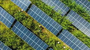 Rystad Energy: Nhu cầu điện toàn cầu có thể tăng 30% trong 10 năm tới