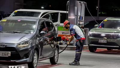 APEC khẳng định quyết tâm bảo vệ chuỗi cung ứng năng lượng
