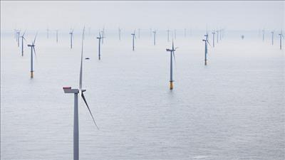 Việt Nam ký bản ghi nhớ về hợp tác năng lượng sạch với Vương quốc Anh