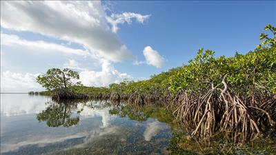 Công bố 15 bài toán lớn về khoa học, công nghệ trong lĩnh vực nông nghiệp và môi trường