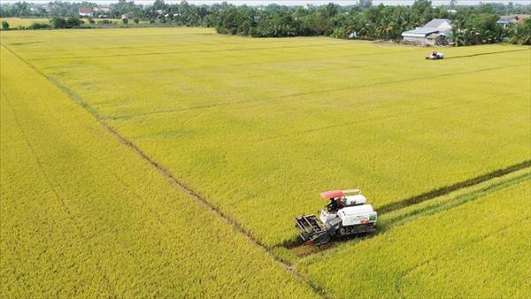 Việt Nam tham gia Liên minh ACF thúc đẩy chuyển đổi nông nghiệp bền vững