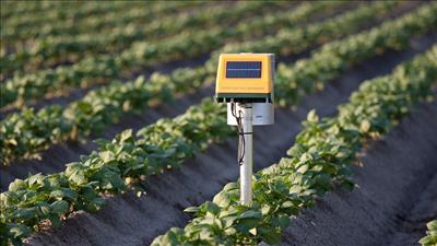 Thúc đẩy khởi nghiệp từ sản xuất nông nghiệp công nghệ cao, tăng trưởng xanh