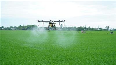 Chuyển dịch sang nền nông nghiệp xanh, có trách nhiệm