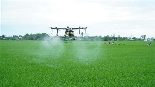 Chuyển dịch sang nền nông nghiệp xanh, có trách nhiệm