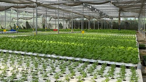 TPHCM thành lập 7 khu nông nghiệp ứng dụng công nghệ cao