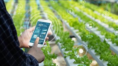 Xây dựng hệ sinh thái số trong nông nghiệp