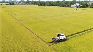 Bổ sung hơn 192 tỷ đồng thực hiện Chương trình mục tiêu quốc gia