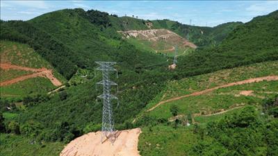 Thanh Hóa: Phê duyệt phương án tạm sử dụng rừng để thi công đường dây 220kV trạm cắt Nậm Sum - Nông Cống