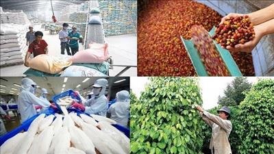 Mục tiêu năm 2030 giá trị xuất khẩu nông lâm thủy sản đạt khoảng 60 - 62 tỷ USD