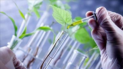 Phát triển công nghiệp sinh học ngành nông nghiệp đến năm 2030