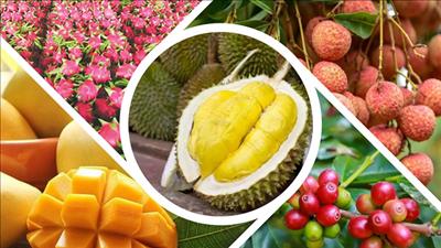 Quy định mới về đối tượng không chịu thuế giá trị gia tăng