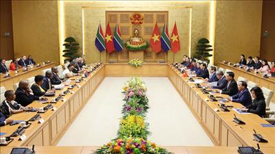 Nâng cấp quan hệ Việt Nam - Nam Phi lên Đối tác chiến lược ngay trong năm 2025