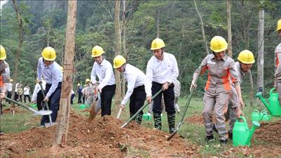 EVNNPC trồng cây trên những “Con đường du lịch hoài niệm các di tích quốc gia”