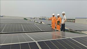 EVNNPC quyết tâm hoàn thành toàn diện các mục tiêu, nhiệm vụ năm 2026