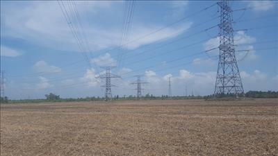 4 nhà thầu xây lắp đạt và vượt tiến độ thi công đường dây 500 kV mạch 3