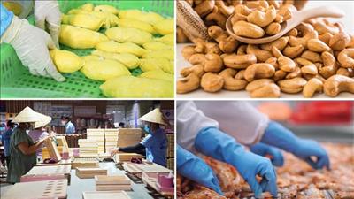 Kim ngạch xuất khẩu nông lâm thủy sản tháng 1/2026 ước đạt gần 6,51 tỷ USD 